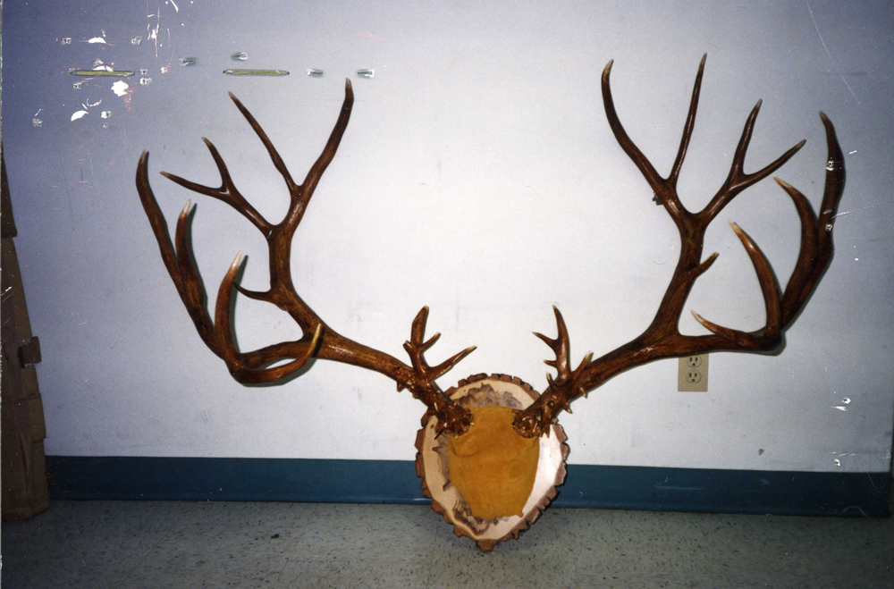 Boone & Crockett Club record mule deer