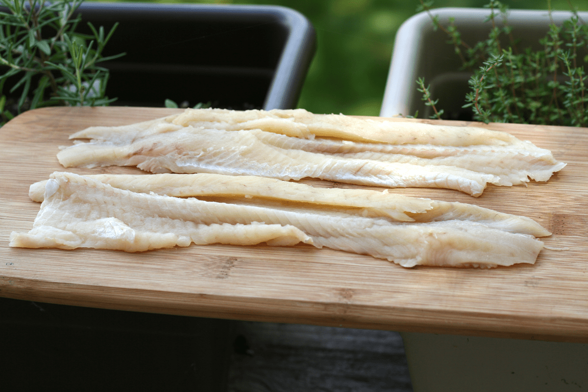 pike fillet