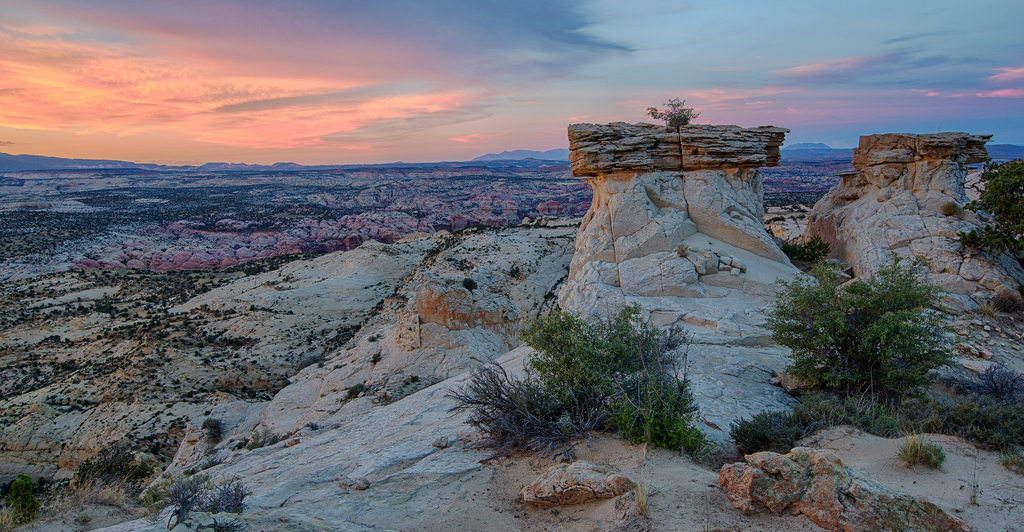 Public Land Roundup Trump to Review National Monument