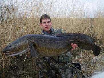 httpswww.outdoorlife.comsitesoutdoorlife.comfilesimport2014importImage2010photo6burbot_record.jpg