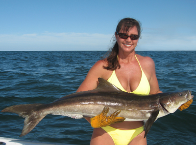 httpswww.outdoorlife.comsitesoutdoorlife.comfilesimport2014importImage2008legacyoutdoorlifejball_small_gall_cobia08.jpg