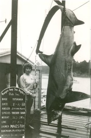 World Record Sharks