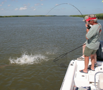 httpswww.outdoorlife.comsitesoutdoorlife.comfilesimport2014importImage2008legacyoutdoorlifebob_mcnally_redfish_15.jpg