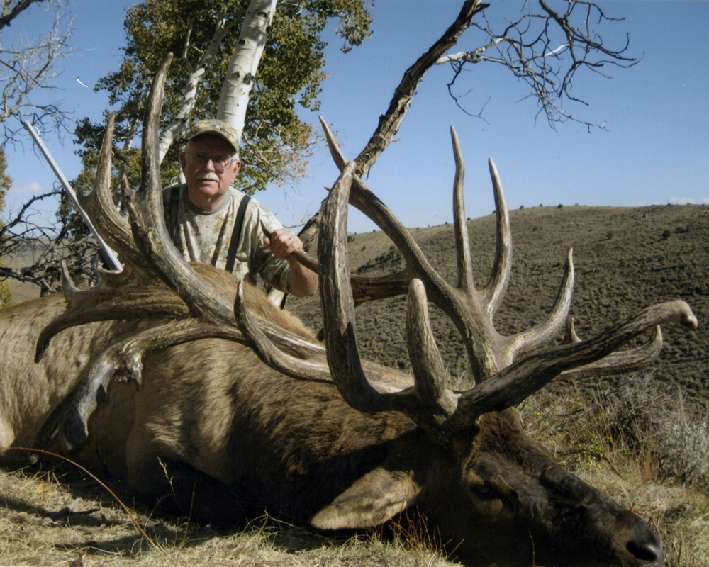 1 nontypical bull elk