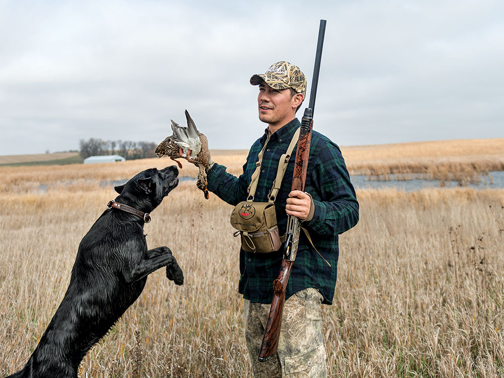 hunting dog tips