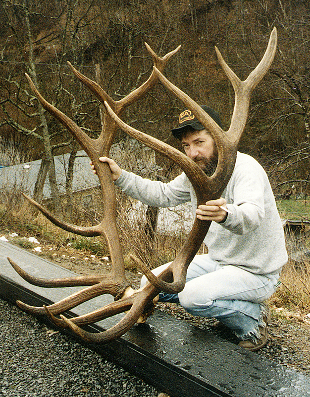 #6 Typical Bull Elk