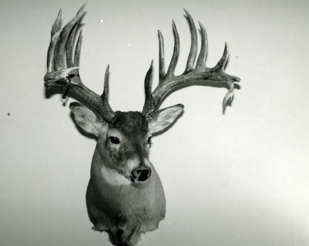 jansen alberta buck