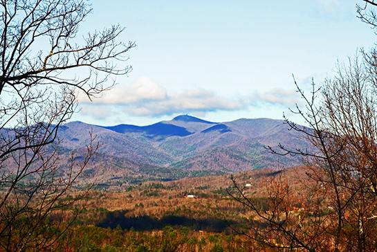 Public Land: Hunting and Fishing in Georgia