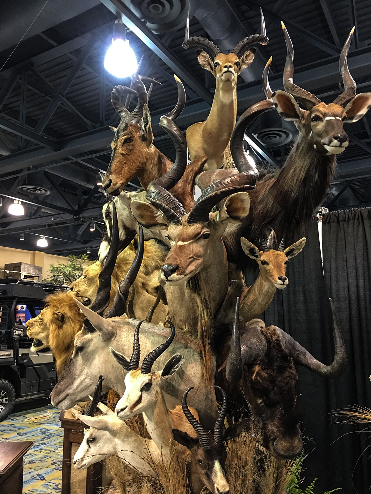 savannah mounts