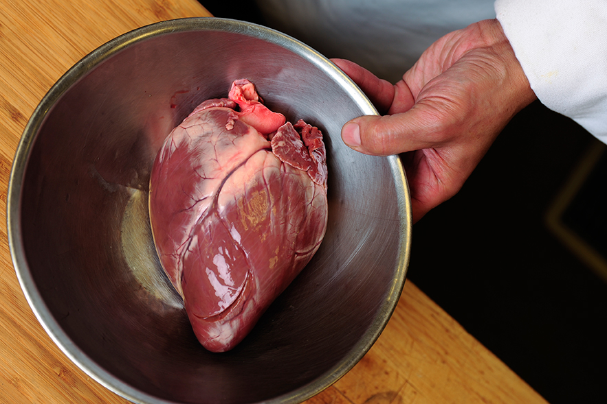 fresh deer heart