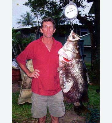 httpswww.outdoorlife.comsitesoutdoorlife.comfilesimport2014importImage2010photo6papuan_black_snapper_record.jpg