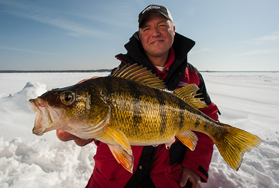 Mastering the Art of Catching and Cooking Perch: Essential Tips