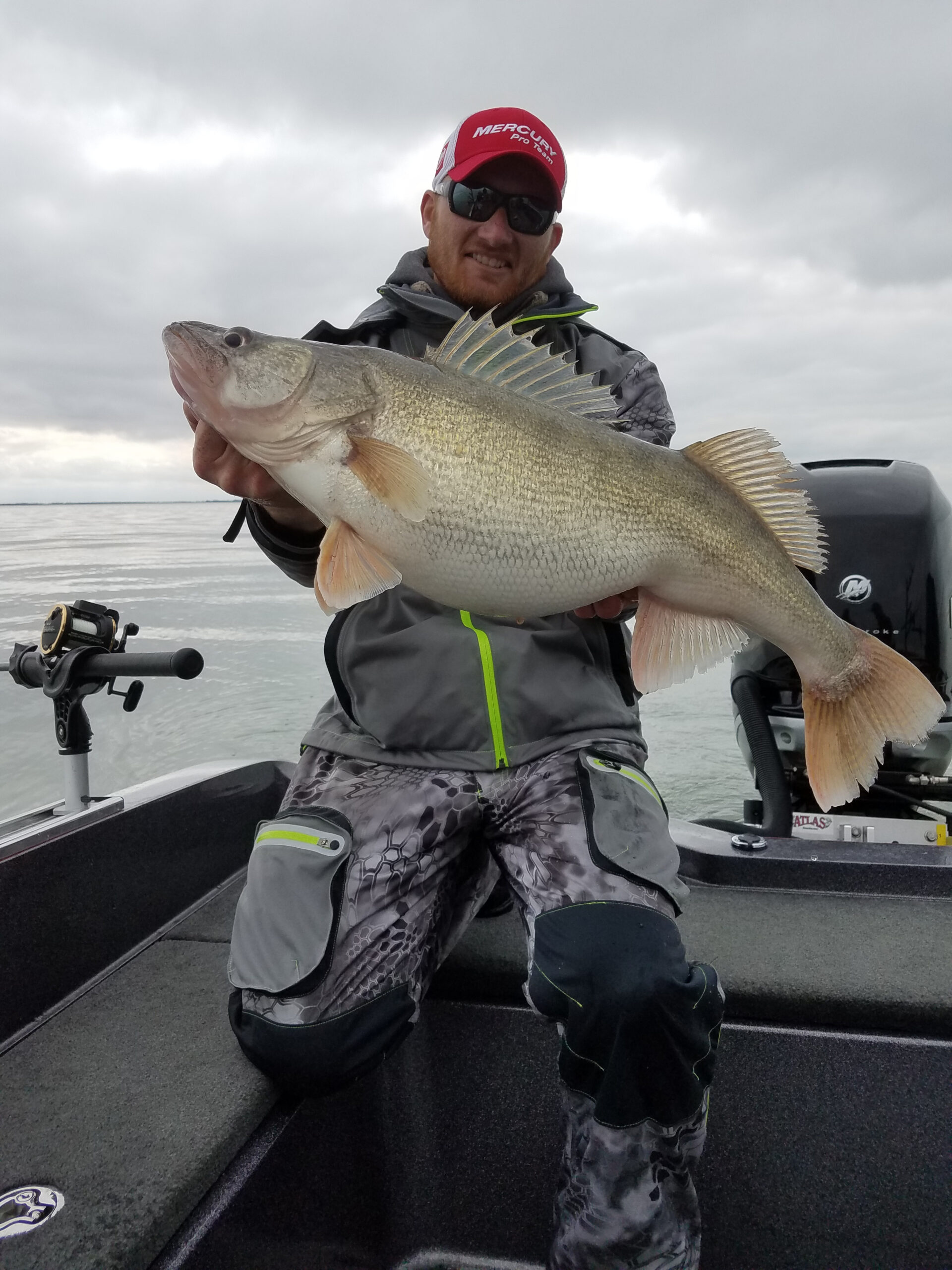 Lake Erie walleye