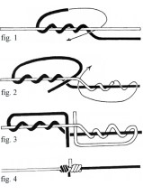 10 Knots You Must Know