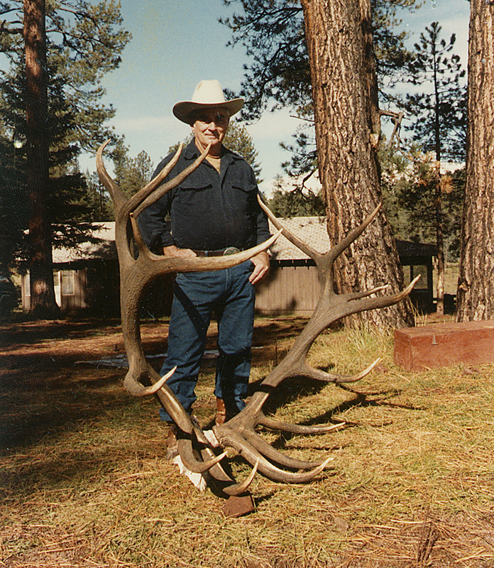 8 nontypical bull elk