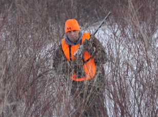 OL's 40 Best Deer Tips