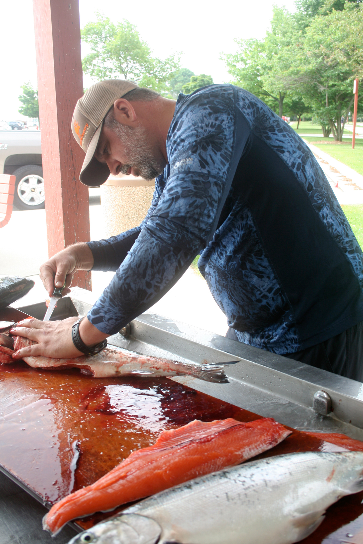 filleting salmon