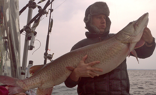 Big Fish Alert: New Possible World-Record Muskie