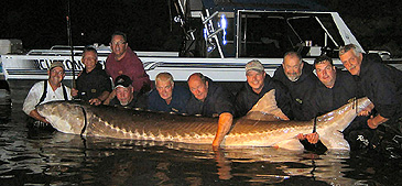 httpswww.outdoorlife.comsitesoutdoorlife.comfilesimport2014importImage2010photo6white_sturgeon_record.jpg