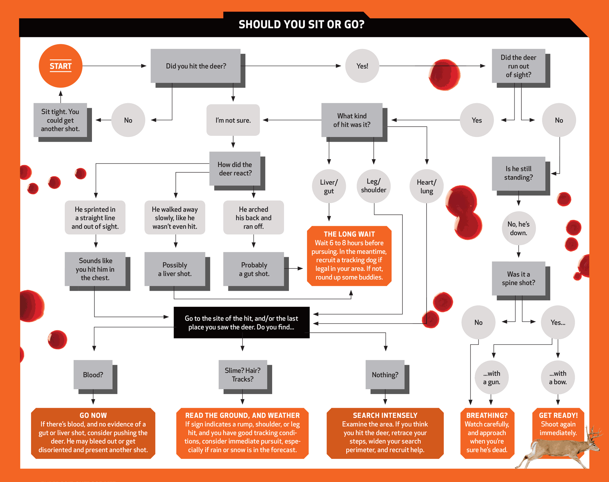 A flowchart on when to stay put or follow a deer.