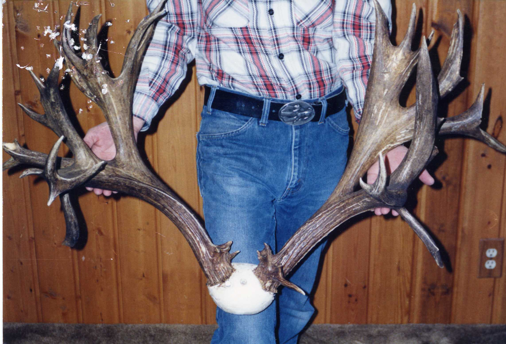 Boone & Crockett Club record mule deer