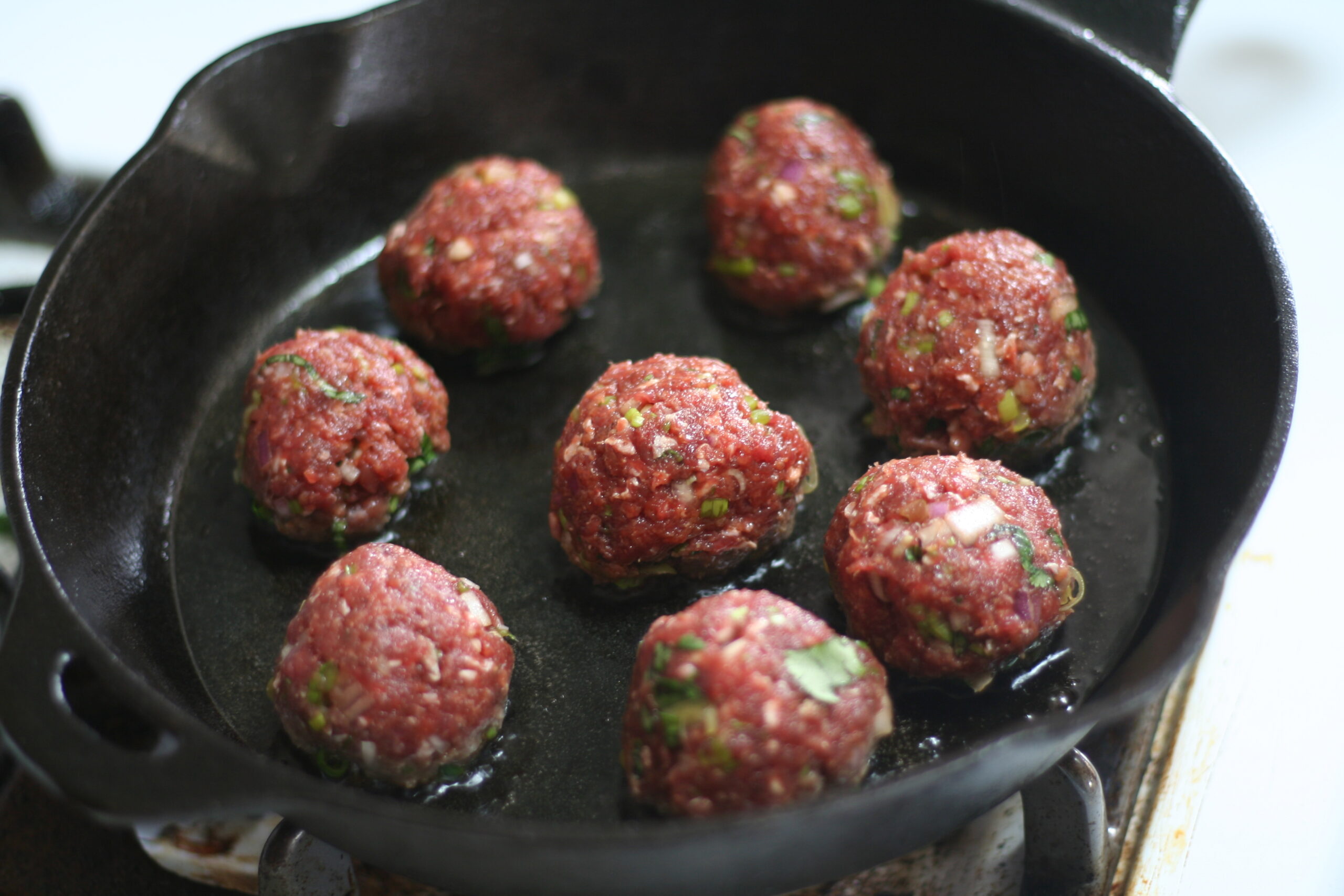 venison meatballs