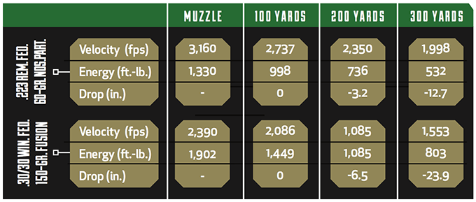 .223 vs .30/30