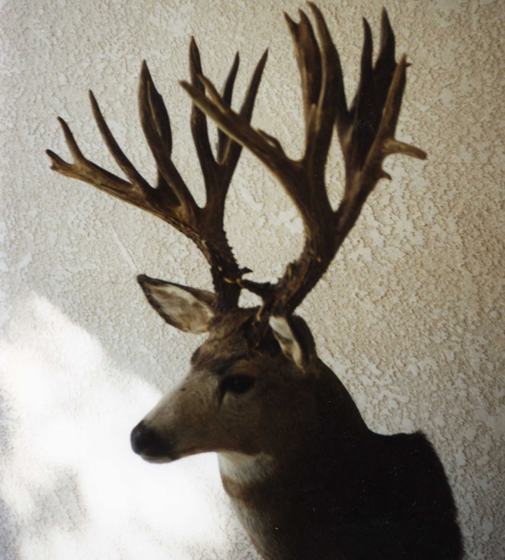 Boone & Crockett Club record mule deer