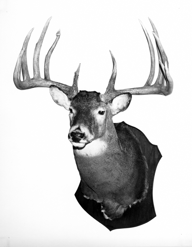 Missouri record buck