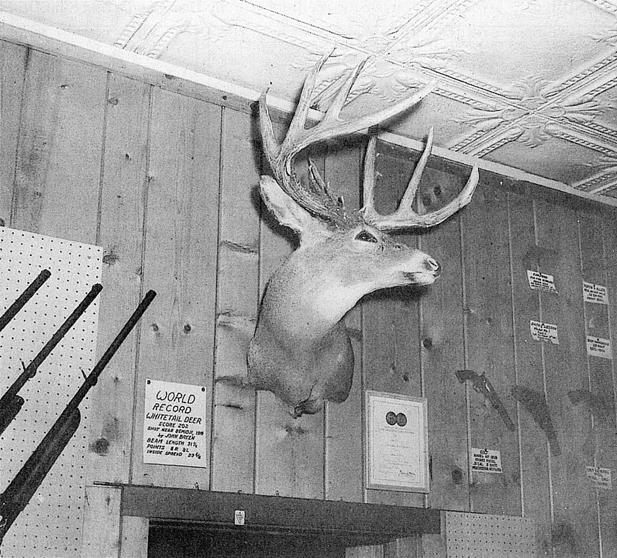 Breen minnesota buck