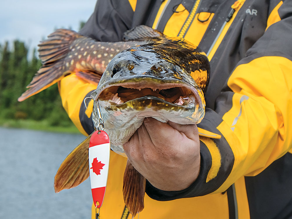 Fishing for Northern Pike in Canada - Our Favorite Lures