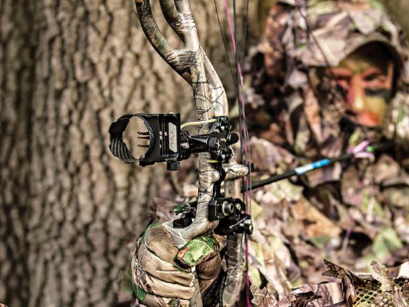 Best Bow Sights: Find the Right Sight for Your Hunting Style