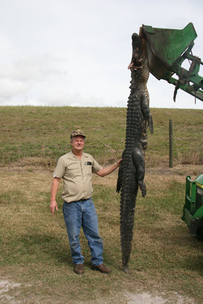 httpswww.outdoorlife.comsitesoutdoorlife.comfilesimport2013images20100813a_gator_6_0.jpg