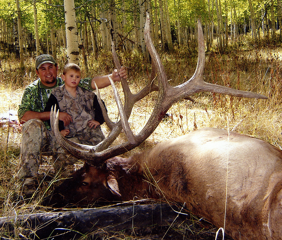 #15 Typical Bull Elk