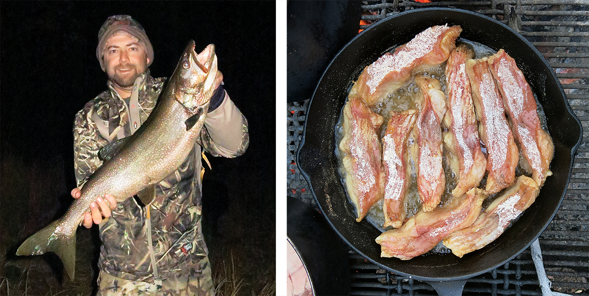 Snowdrift River trout