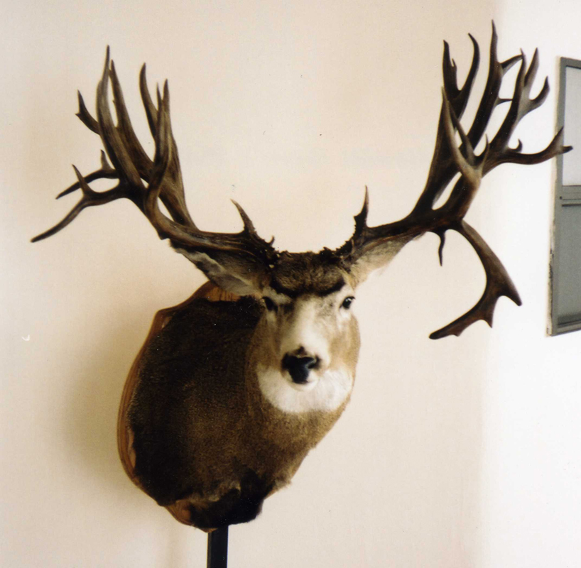 Boone & Crockett Club record mule deer