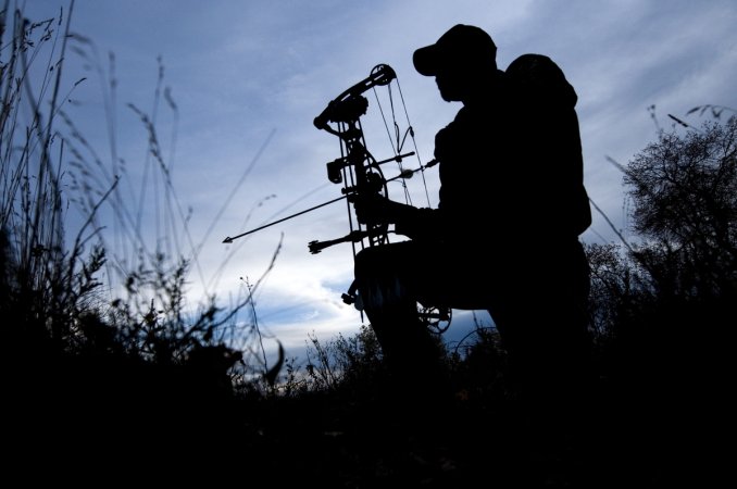 compound bow