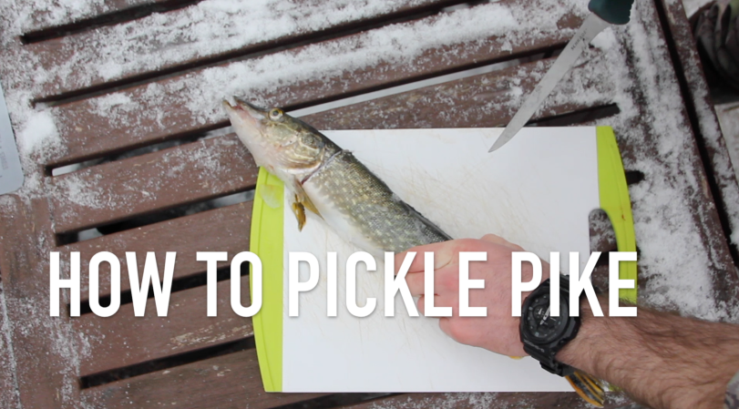 Pike Spearing: How to Spear the Biggest Pike of your Life