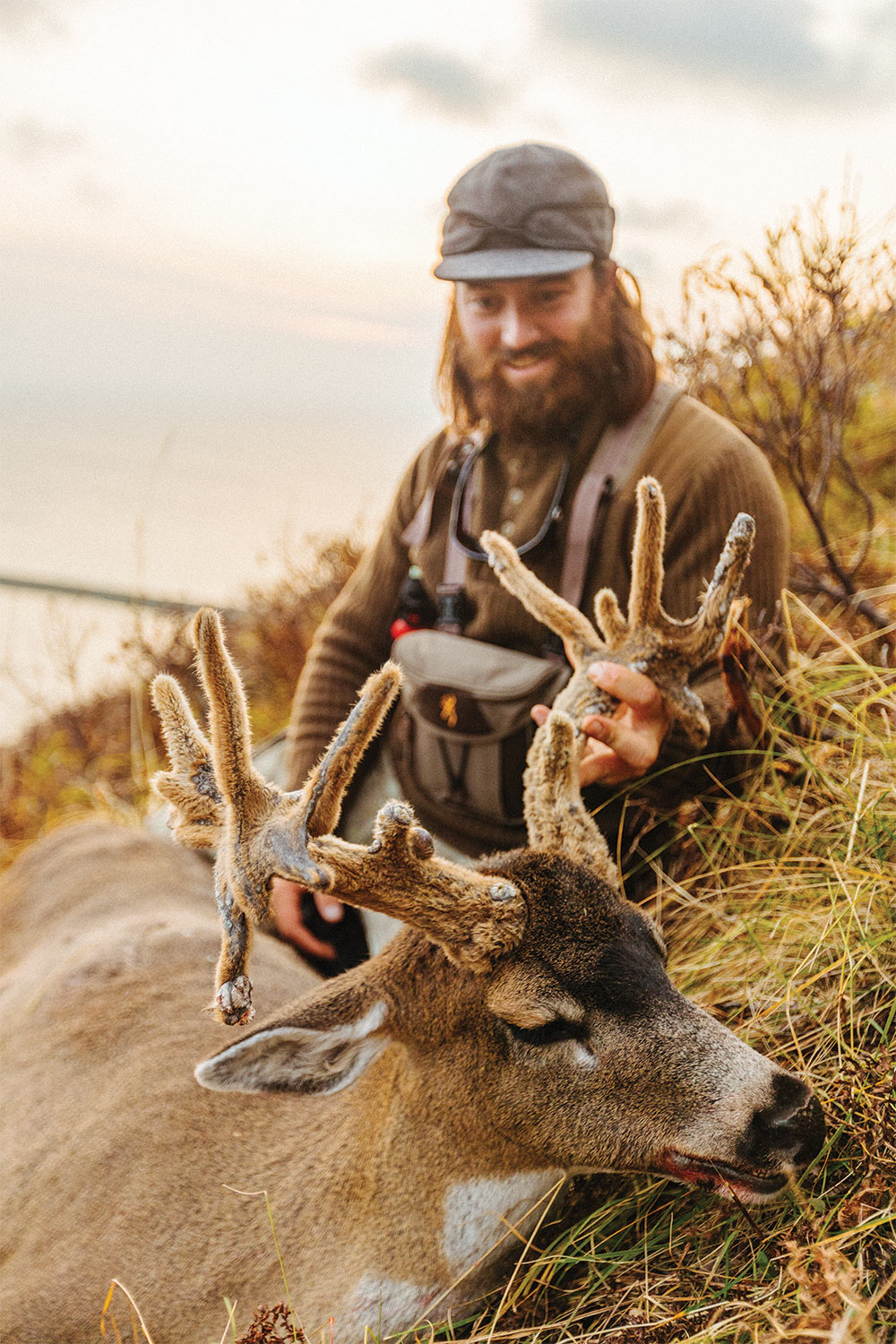 full velvet barnacled blacktail deer