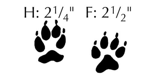 This native canine favors open plains, brushy areas, and woodlands.