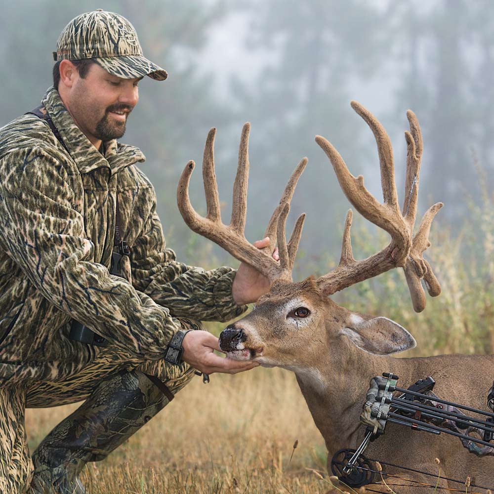 velvet buck early season trophy