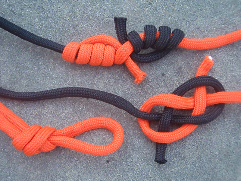 survival knots