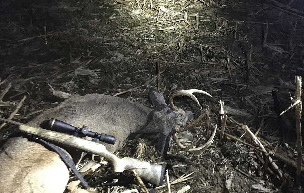 Kentucky whitetail taken with 6.5 Creedmoo