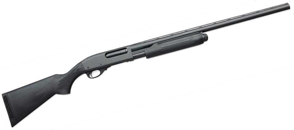 Remington 870 (12 gauge) for bears