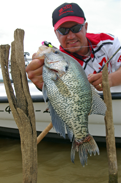 httpswww.outdoorlife.comsitesoutdoorlife.comfilesimport2014importImage2008legacyoutdoorlifecrappie_fall_014.JPG