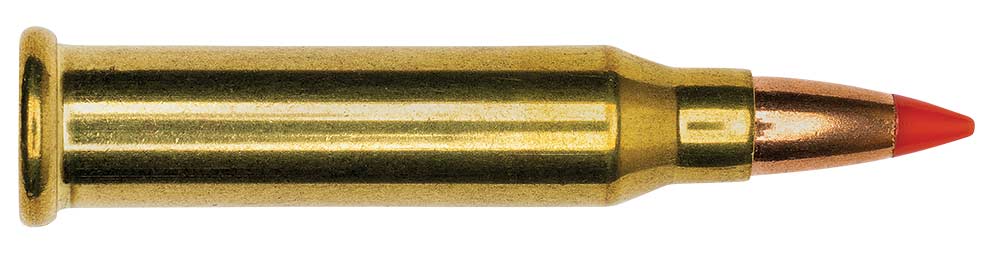 winchester 17 wsm 20-grain polymer tip