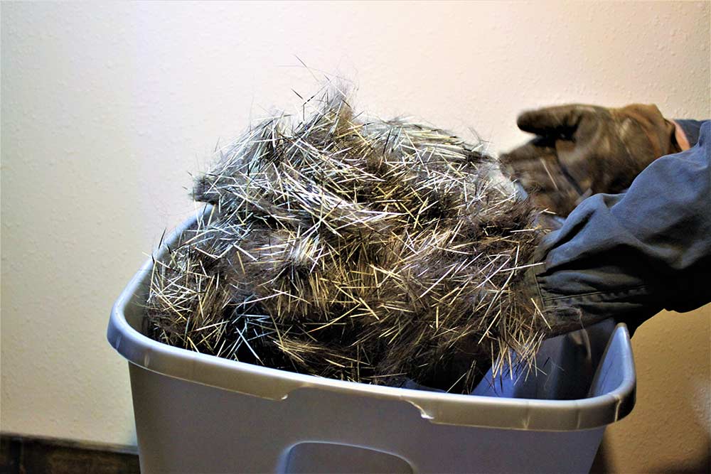 buckets of dequilled porcupine