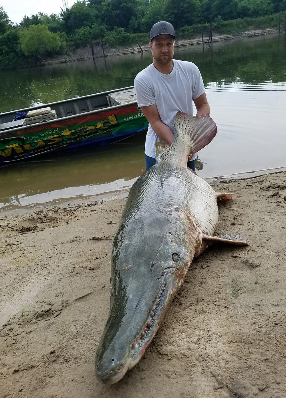 The oversized mouth full of formidable teeth and armor-like scales of an Alligator Gar.