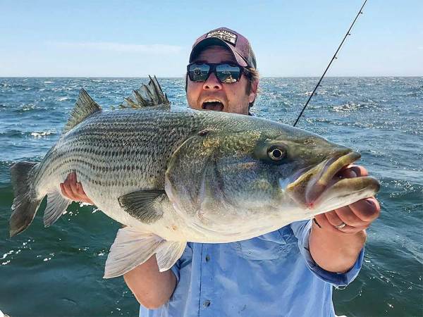 Are You Good Enough to Catch Striped Bass from the Surf?