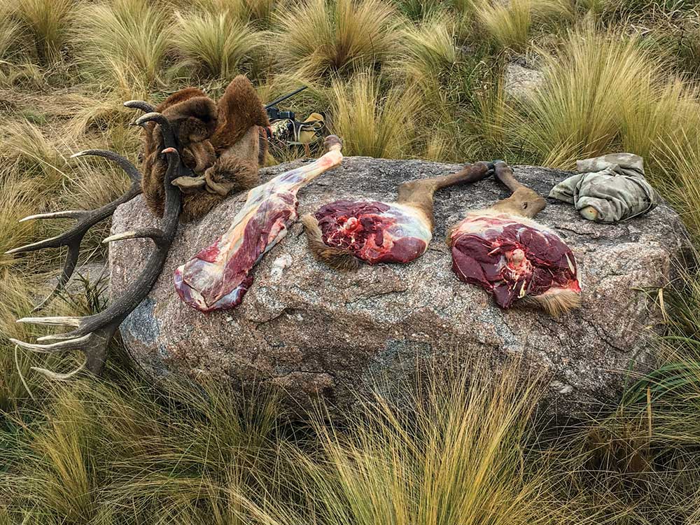 butchered red stag on a giant rock